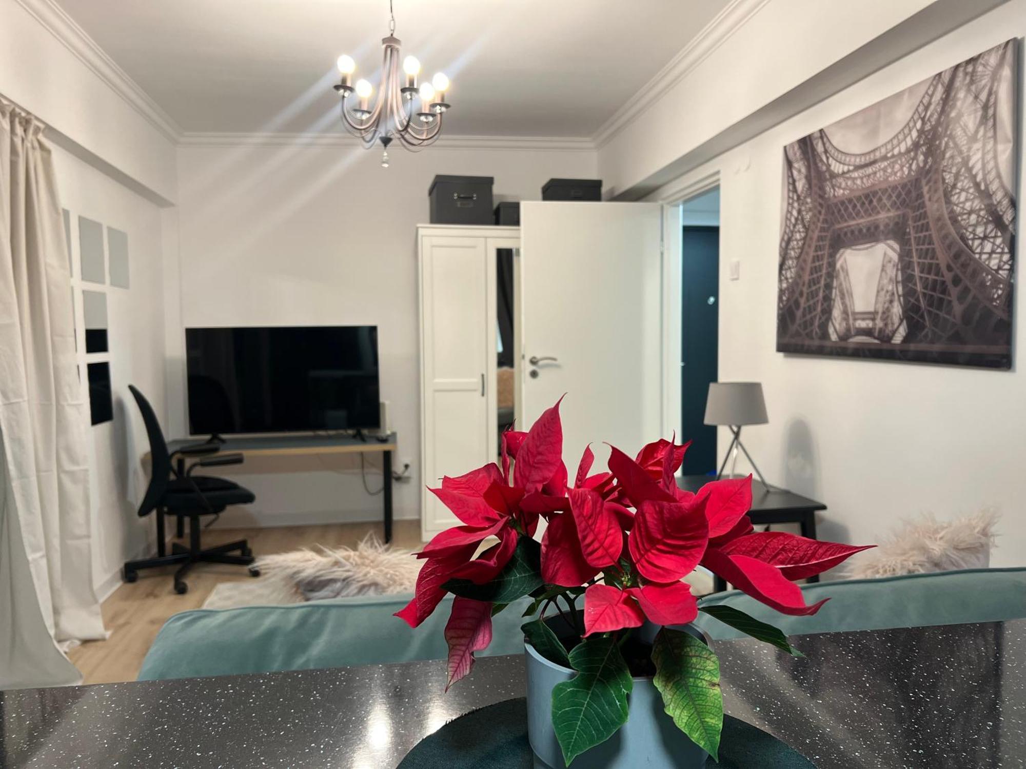 Cosy Studio Floreasca บูคาเรสต์ ภายนอก รูปภาพ
