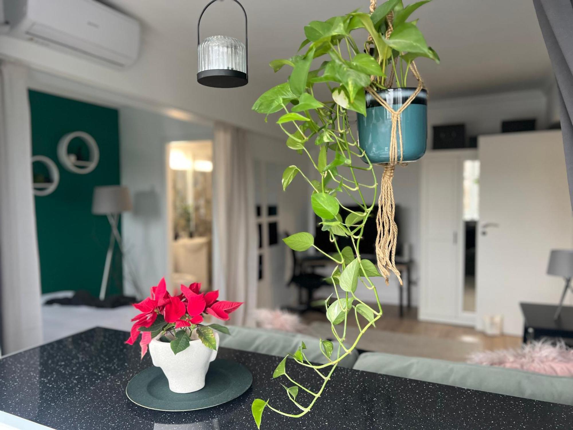 Cosy Studio Floreasca บูคาเรสต์ ภายนอก รูปภาพ